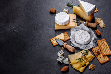 Beautiful delicious camembert cheese, parmesan, brie with grapes and figs