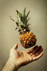 Nano pineapple. Nature and man. Food lightness. A nano pineapple flying over an open hand....