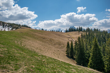 Beautiful swiss alps mountains. Alpine meadows.  
