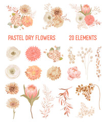 Elegant Vector Dry Flowers, Protea, Pale roses, Eucalyptus, Dried hydrangea, Dahlia, floral elements. Trendy winter