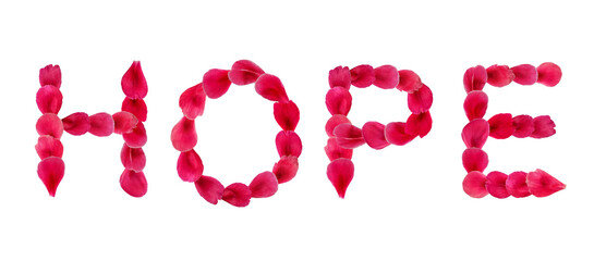 Word HOPE made from pink flower petals isolated on white background. Natural floral clipart - design element