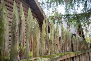 Obraz premium ancient style wooden wall Palisade. High wooden antique palisade. Fence made of sharp wooden stakes on the background of logs. ancient style wooden wall Palisade