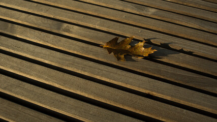 Dark wooden background or texture
