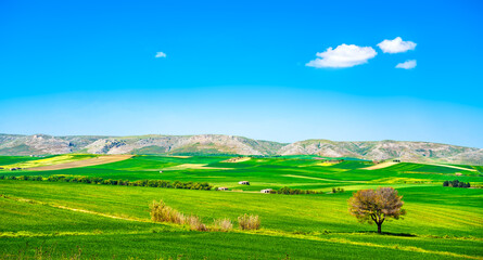 Apulia countryside view rolling hills landscape. Murge Poggiorsini, Italy