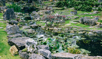Beautiful garden with plants in the greenhouse.