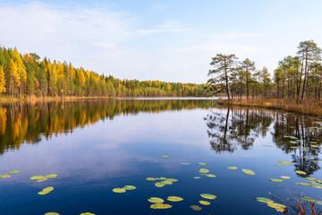 Small autumn lake in the taiga of the Arkhangelsk region, northern Russia