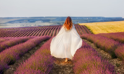 Fototapeta na wymiar A beautiful girl in a white dress walks into the distance along a field with lavender