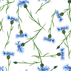seamless pattern with watercolor drawing cornflower flowers