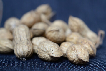 Groundnuts of the new harvest in autumn closeup. Shallow depth of field