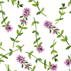 seamless pattern with watercolor drawing thyme