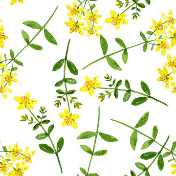 seamless pattern with watercolor drawing St. John's wort