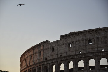 Coliseum