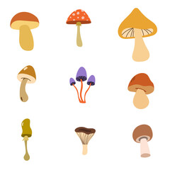 Set of vector icons of autumn poisonous and edible mushrooms. Isolates on a white background.