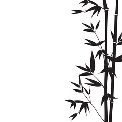Hand drawn bamboo branches for your design.