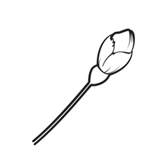 Hand drawn design elements sakura flowers collection.