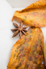 Star anise and autumn leaves