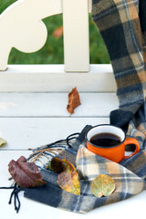 Cup of tea and warm scarf on white wooden bench, picnic in the autumn park. Fall season, weekend, teatime, still life, leisure time and tea break concept. Selective focus. Top view, copy space.