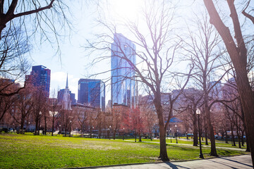 Panorama of Boston Common, central public park in downtown, Massachusetts, USA