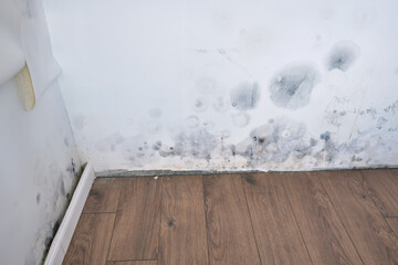 Moldy wallpaper and baseboard in the house due to water leakage