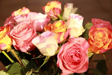 Roses rose orange blanche pastel