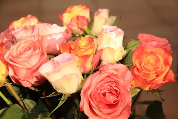 Roses rose orange blanche pastel