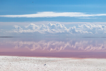 Pink salt lake coast with white salt, pink water surface and mirror reflection of magic clouds on blue sky. Syvash or Sivash, the Putrid Sea or Rotten Sea, Ukraine