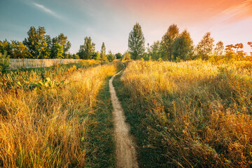 Naklejka premium Landscape Of Rural Country Path Through Field With Dry Grass In Early Autumn Season. Pathway, Way, Path, Road At Sunset Sunrise. Agricultural Rural Landscape