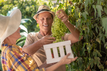 Female holding basket with fruit, male putting cluster of green grapes into it