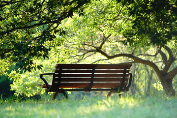 緑の中のベンチ