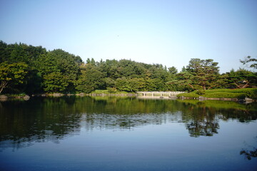 Fototapeta na wymiar 日本の庭園
