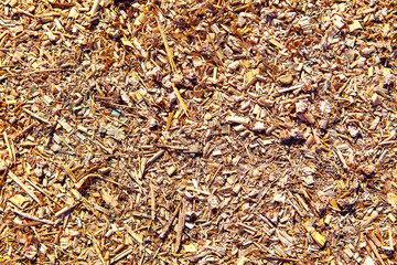 Forage and straw for cattle feeding 