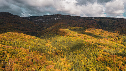 Beautiful aerial photo of lush autumn fall trees with golden orange colors taken in the Swiss alpine mountains.