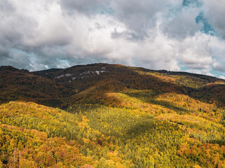 Beautiful aerial photo of lush autumn fall trees with golden orange colors taken in the Swiss alpine mountains.