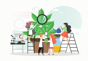 Medical cannabis or marijuana research. People in lab coats growing giant hemp plant in pot, flat vector illustration.