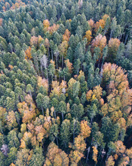 Autum drone photography of mountain Fumaiolo