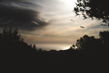Naturaleza plantas viajes