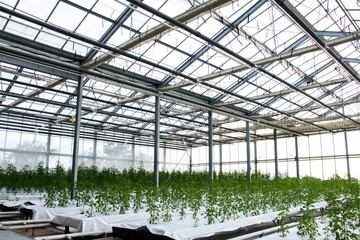 naturaleza viajes plantas animales aventura deportes mar surf