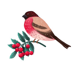 Winter Birds and Berries. Colorful vector illustration.