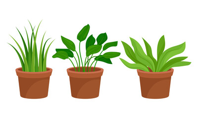Flowers and Plants Growing in Ceramic Pots Vector Set