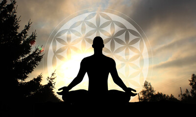 silhouette of a person in a yoga pose in the forest