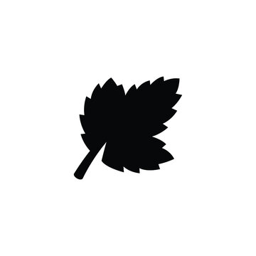 recommend clip art: Leaf icon vector