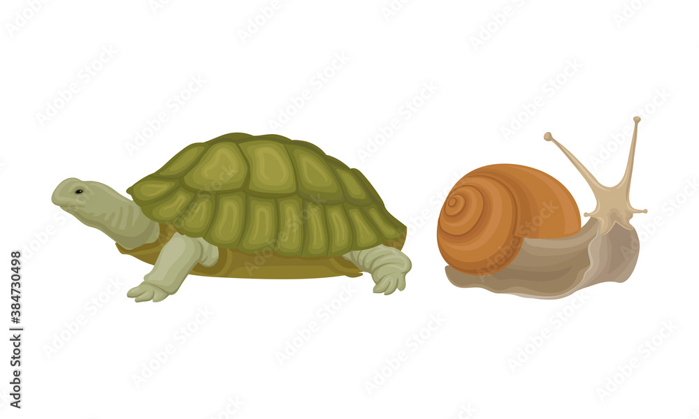 Poster huge turtle and snail as reptile vector set