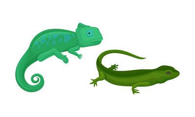 Green Chameleon and Lizard as Reptile or Amphibians Vector Set