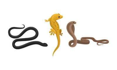 Obraz premium Snakes and Lizard as Carnivorous Reptiles Vector Set