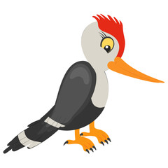 
Woodpecker bird with pointed beak to cut wood of tree in a grey color 
