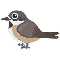 
A little bird having feathers depicting sparrow 
