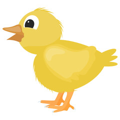
A duck having white color is farm animal 
