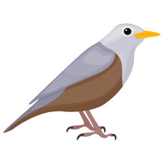 Obraz premium A little bird having feathers depicting sparrow 