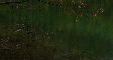 Alpenlandschaft im Herbst am Fernpass in Tirol