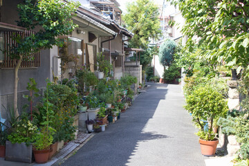 Obraz premium 住宅街の路地に置かれたたくさんの植木鉢